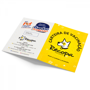 CARTEIRA DE VACINAÇÃO / 20x21 offset 240g 20x21cm 4x4 ou 1x1  CORTE RETO 